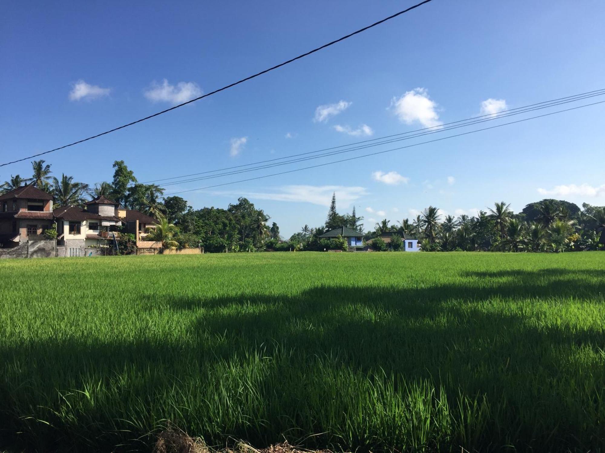 Ratna Villa Ubud Camera foto
